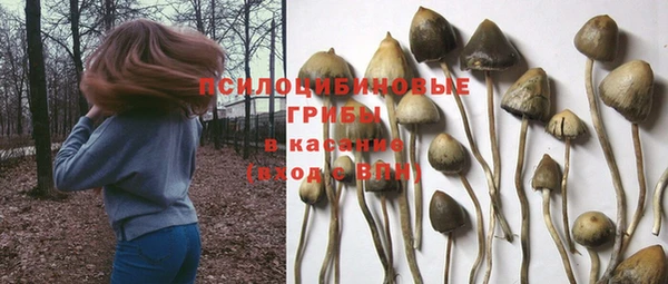 трава Бронницы