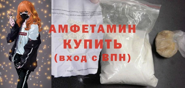 гидра Бородино