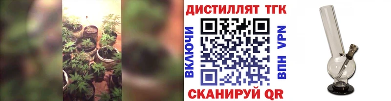 это состав  где найти   Новохопёрск  ТГК концентрат 